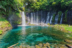 富士を望む芝桜まつり2